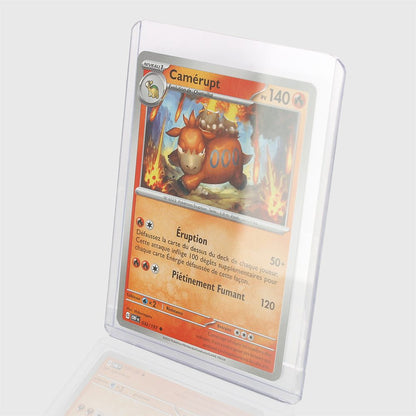 Phoenix Shield - Toploader Protection x25